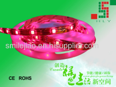 SMD flexible 5050 30leds/m strip light for Christmas Day