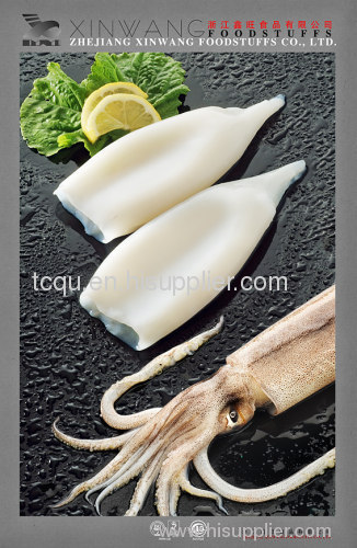 frozen squid tubes, squid rings, seafood mix, pllock fillets, salmon,red fish,hake,cod,mahi mahi etc.