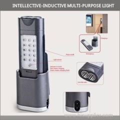 INTELLECTIVE PURPOSE LIGHT