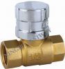 Brass Lockable Ball Valve