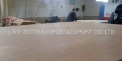 Commercial Plywood