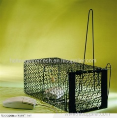 Foldable catch cage