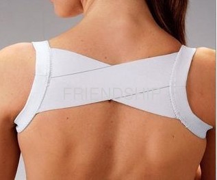 Back Support Belt