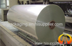 12 micron tranparent polyester film