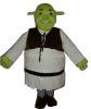 shrek costume mascot, cartoon costumes mascot