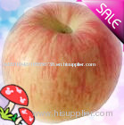 fresh fuji apple