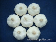 Shandong jinxiang garlic