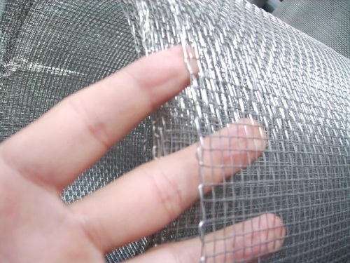 Galvanized Square Wire Mesh