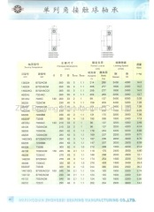 Angular Contact Ball Bearings