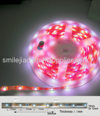 5050 30leds\m strip light for good quality