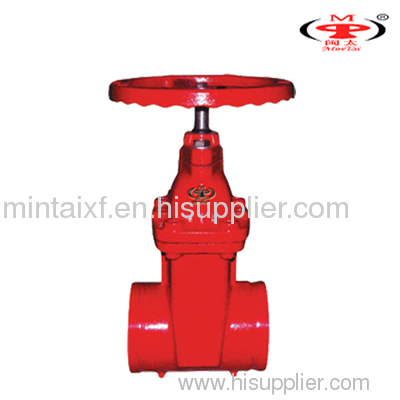 RRXX Gate Valve