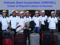 Vietnam Steel Corporation (VSC)