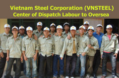 Vietnam Steel Corporation (VSC)