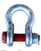 Anchor Shackle Bolt Type With Safety Pin & Nut G2130