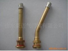 tubeless tyre valves