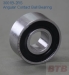 Sealed Angular Contact Ball Bearing