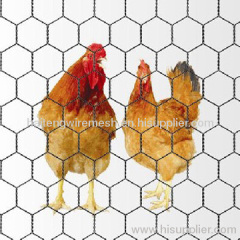 PVC hexagonal wire mesh