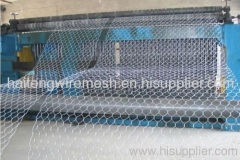 gabion hexagonal wire mesh