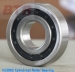 Roller Bearing