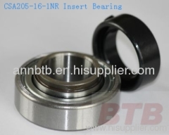 Insert Bearing