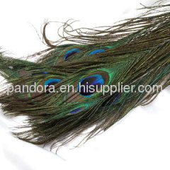 Green Natural Peacock Feather Hair Extension Wholesale