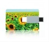 usb flash drive,usb credit cards,usb business cards 1gb,512mb,128mb