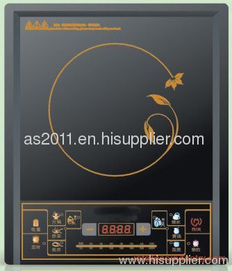 Induction Cooker