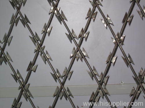 China Inserts Barbed Wire Mesh