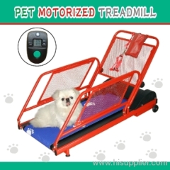 PET MOTORIZED TREADMILL