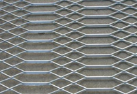 special expanded metal mesh