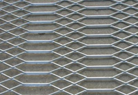 special expanded metal mesh