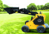 Mini Skid Steer Loader