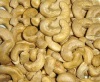 Cashew Nut