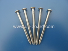 Common Wire Nail