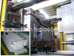 Auto Parts Mould