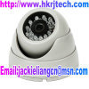 Outdoor 20M IR Sony CCD Dome Camera