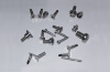 Stainless Steel Screws