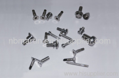 Stainless Steel Screws