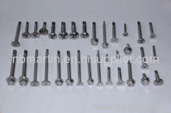 series of stainless steel screw