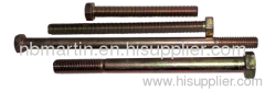 Hex cap head Bolts