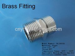 Brass pipe fitting