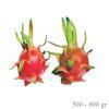 Dragon Fruit/Pitahaya