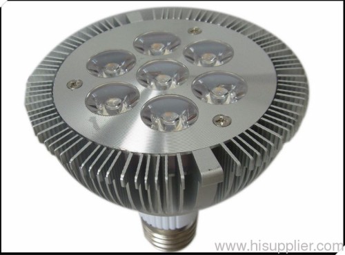 LED PAR 30 Light