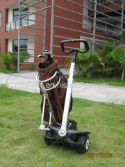 2 wheel self-balance personal transporter Golf Robin-M1