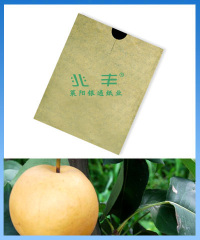 singo pear ptotection bag