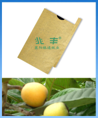 loquat ptotection bag