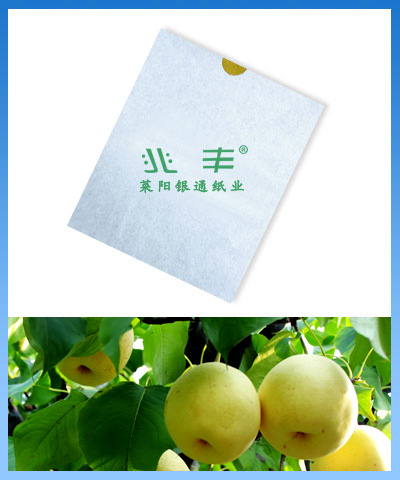 pear ptotection bag