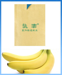 Banana paper bag