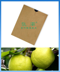 Fruit growing paper bag