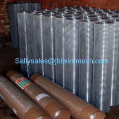 SS Welded Wire Mesh